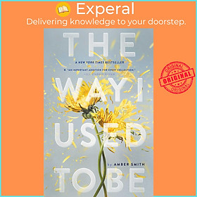 Hình ảnh sách Sách - The Way I Used to Be by Amber Smith (US edition, paperback)
