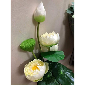 Mua Cành Sen Thái Giống Thật dài 75cm-Hoa Giả