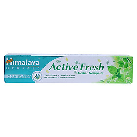 Kem Đánh Răng Thảo Mộc Tươi Mát Active Fresh Himalaya Herbals HMTP0003 100g