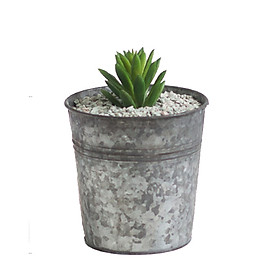 Succulent Pots Plant Planter Vintage Style Iron Bucket Small Tin Pot Plant Container Box for indoor and outdoor  Garden Patio Decor