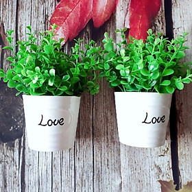 Mua Chậu cây lá giả  trang trí đểbàn học siêu dễ thương   chậu love cỏ xanh