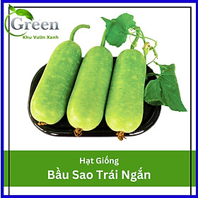 Mua Hạt Giống Bầu Sao Trái Ngắn Lai F1