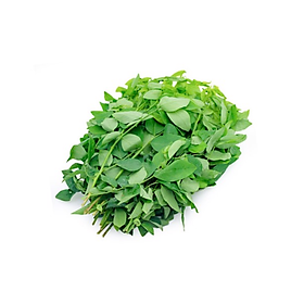 Rau ngót hữu cơ 250g