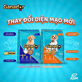 20KG Thức ăn cho chó trưởng thành Ganador vị gà nướng Adult Roasted Chicken Flavor