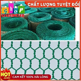 Mua Lưới mắt cáo sắt bọc nhựa khổ 1 2 met lưới xanh sắt bọc nhựa
