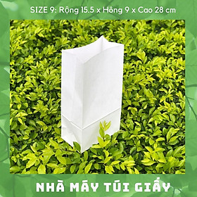 Mua 100 chiếc túi giấy kraft Nhật màu trắng Size 9 -15.5x9x28cm KHÔNG QUAI