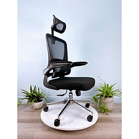Mua Ghế Làm Việc Công Thái Học AMA-527-T