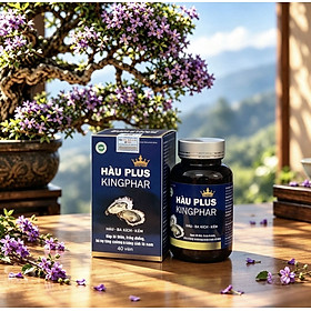 Viên uống Hàu Plus Kingphar, hộp 40v, tăng cường sinh lý nam