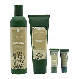 Bộ Dầu Gội Weilaiya Chính Hãng Tinh Chất Gừng Hà Thủ Ô Hỗ Trợ Mọc Tóc Ngăn Rụng Tóc - Cho Da Đầu Khô