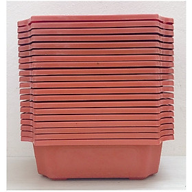 20 Ang Chữ Nhật Trồng Hoa Cây Cảnh 240x170x70mm