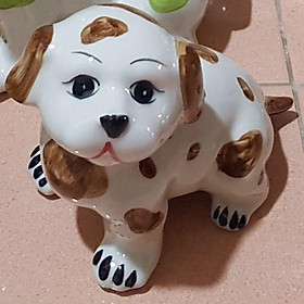 Mua Chó đốm tiết kiệm