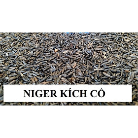 hạt niger (kích cồ) làm thức ăn giàu chất dinh dưỡng cho chim, yến phụng, yến hót, vẹt