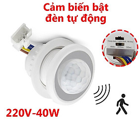 Mua  TÙY CHỈNH ĐỘ NHẠY SÁNG ĐỘ TRỄ  Bộ công tắc cảm biến chuyển động DC1 công tắc cảm biến chuyển động tự động bật đèn