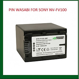 PIN WASABI FOR SONY NV-FV100 - HÀNG CHÍNH HÃNG