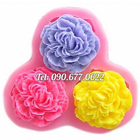 Khuôn silicone làm rau câu 3 hoa cẩm chướng cánh xoăn - Mã số 1479