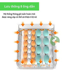 Máy ấp trứng gà mini thông minh Dương Ninh M10-130 trứng MAT03