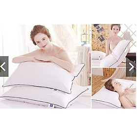 Mua 1 Cặp Gối bông Hilton cao cấp hút chân không (2 gối ) gối khách sạn
