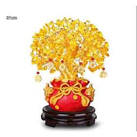 Mua Cây Tài Lộc Đại Phát Tài – Trung