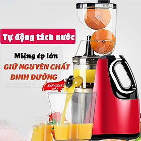 Mua Máy ép chậm cỡ lớn RH-313 ép rau củ hoa quả 95% lượng nước giữ nguyên chất dinh dưỡng