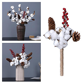 Natural Dried Cotton Stems Flowers DIY Home Garden Decoration Gifts 5 Head