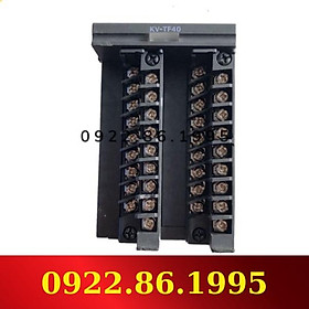 Khối điều chỉnh nhiệt độ Keyence KV-TF40
