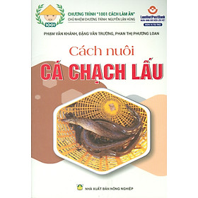 Ảnh bìa Cách Nuôi Cá Chạch Lấu