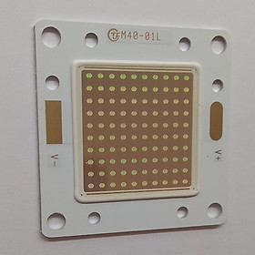 EPILEDS CHIP LED 50W - XANH LÁ