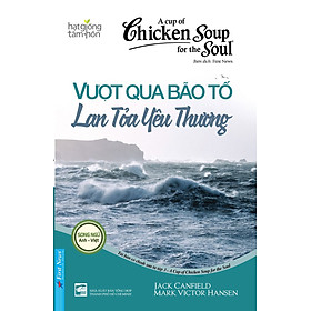 Hạt Giống Tâm Hồn - A Cup Of Chicken Soup For The Soul 3 - Vượt Qua Bão Tố Lan Tỏa Yêu Thương