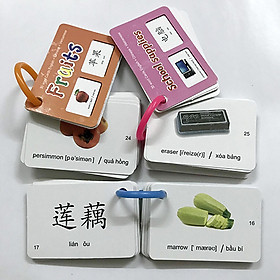 Flash card 20 chủ đề HN04