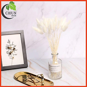 Mua Hoa Khô  Bình Hoa Cỏ Đuôi Cao 25cm Trang Trí Nhà Cửa  Cửa Hàng  Văn Phòng