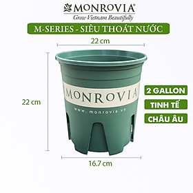 Chậu nhựa trồng cây MONROVIA để bàn, treo ban công, treo tường, ngoài trời, sân vườn, tiêu chuẩn Châu Âu