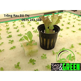 Mua 96 viên mút xốp ươm hạt kích thước 25 x 25 x 25mm trồng rau thủy canh