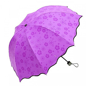 Mua Dù Đi Mưa Gấp Gọn Nở Hoa Khi Gặp Nước- Tặng kèm móc treo quafa