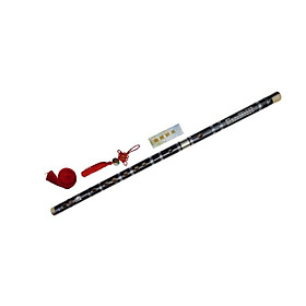 Mua dizi đen khớp inox