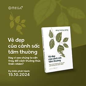 VẺ ĐẸP CỦA CẢNH SẮC TẦM THƯỜNG - Đặng Hoàng Giang – Omega Plus (bìa mềm)