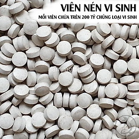 Sứ Lọc Nước Các Loại - Vật liệu lọc cho bể cá cảnh, thuỷ sinh
