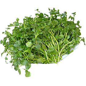 - XÀ LÁCH XOONG 500G