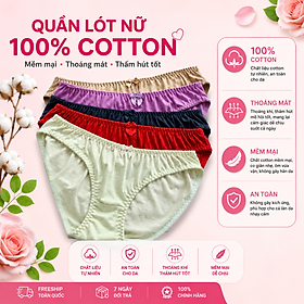 Combo 5 quần lót nữ Jones 003 cotton 100