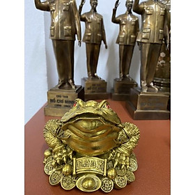 Mua Cóc đồng Thiềm Thừ  Cóc ngậm tiền 3 chân Cóc Linh vật Phong Thủy đặt ban thờ Thần Tài Chiêu tài lộc.