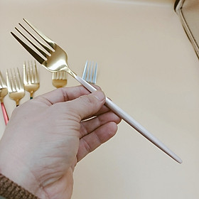 Mua Nĩa Inox 304 Cán Dài Nhiều Màu Sang Trọng