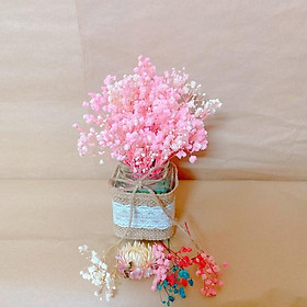 Mua Lọ hoa baby khô ️ Lọ hoa khô decor nhà cửa  văn phòng  làm quà tặng