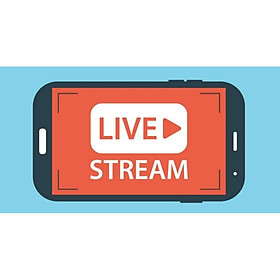 Mua TRANH ĐƯỢC CHỐT ĐẤU GIÁ TẠI LIVE STREAM