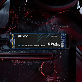 Mua Ổ cứng SSD PNY 256GB CS1031 M.2 2280 NVMe Gen3x4 hàng chính hãng / hàng nhập khẩu