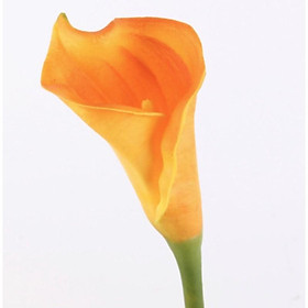 Mua Cành hoa Calla Lilly nhân tạo 73cm bằng chất liệu PU giống hoa thật đến 99%