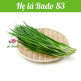 Hạt giống Hẹ Lá Cao Sản gói 1gr - Sinh trưởng mạnh