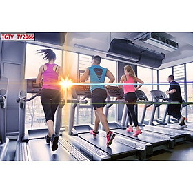 Mua Tranh dán tường 3d trang trí phòng gym- ép kim sa - có sẵn keo GY16