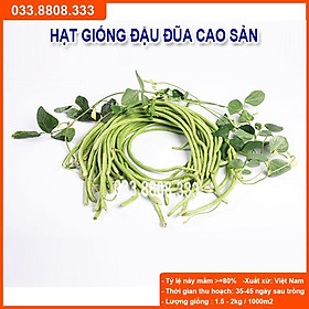 Hạt Giống Đậu Đũa 20gram -Giống Đẹp Giá Rẻ