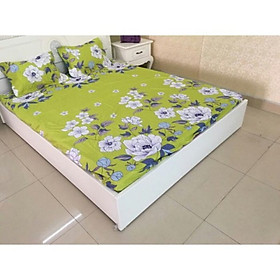 Bộ chăn ga gối Cotton cao cấp 1m6x2m CHT360