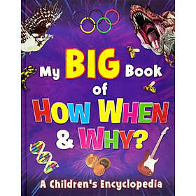 The Big Book Of How, When And Why?