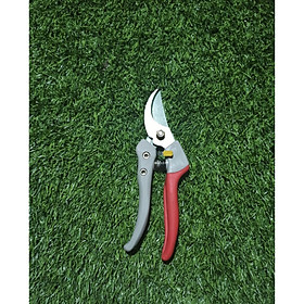 Mua Kéo cắt cành Beak Ma T001